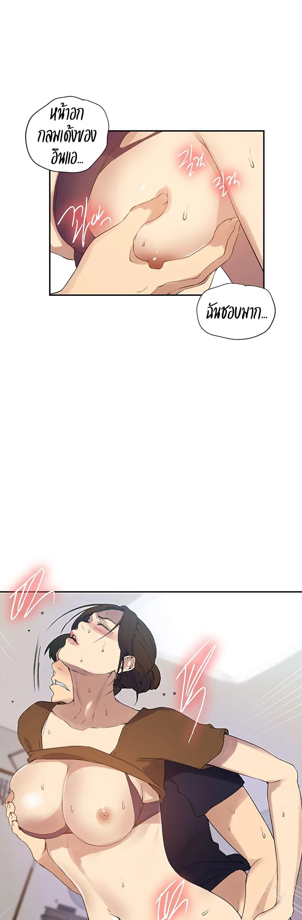  Secret Class ฮาเร็มในบ้าน ตอนที่ 234 หน้า 17 - โดจินแปลไทย