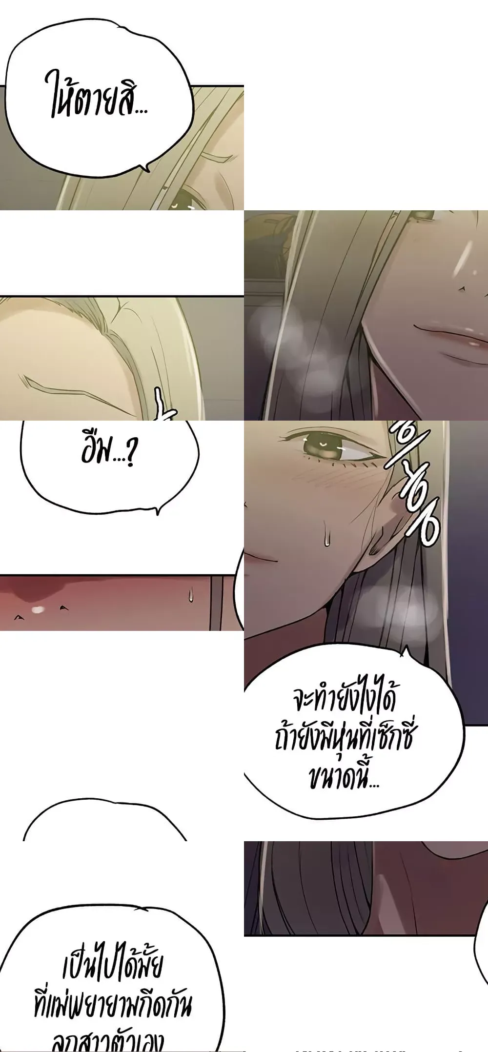 Secret Class ฮาเร็มในบ้าน ตอนที่ 244 หน้า 25 - โดจินแปลไทย