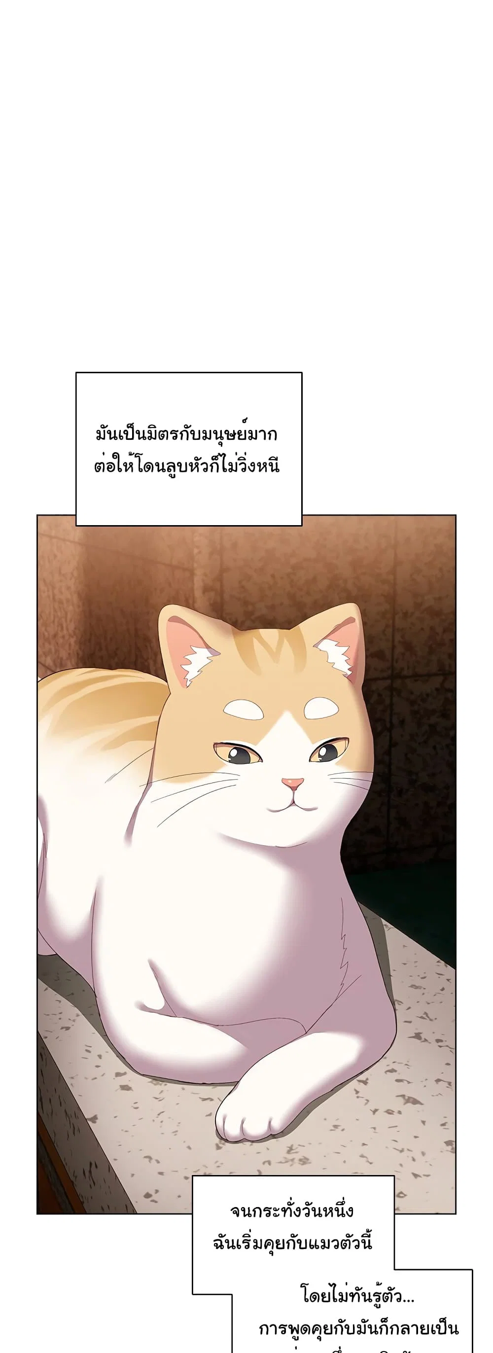 นายพลมาแล้ว! ตอนที่ 2 หน้า 31 - โดจินแปลไทย